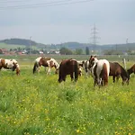 Chrom Ranch Reiterhof 3* Memmingen