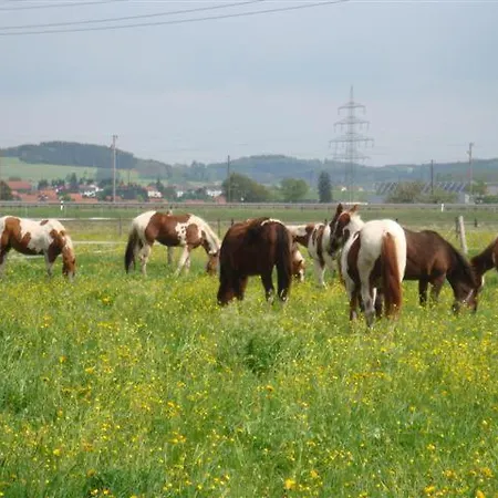 Chrom Ranch Reiterhof * Мемминген