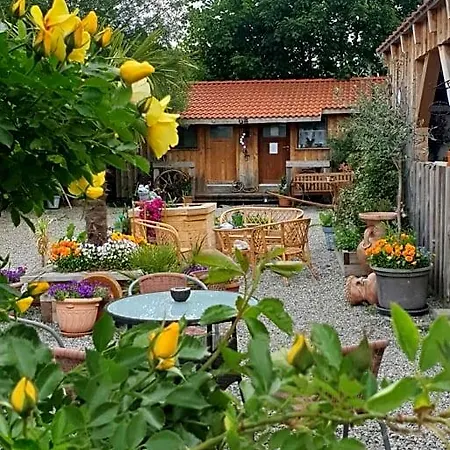 Bed & Breakfast Chrom Ranch Reiterhof