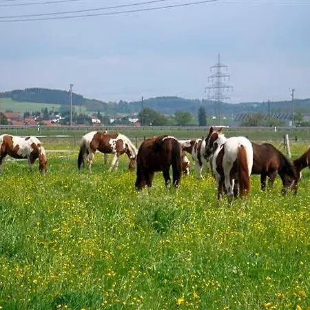 Chrom Ranch Reiterhof Bed & Breakfast Memmingen