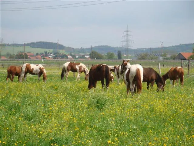 Chrom Ranch Reiterhof 3* メミンゲン